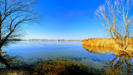 reservoir with golden reeds and blue sky © Marcin