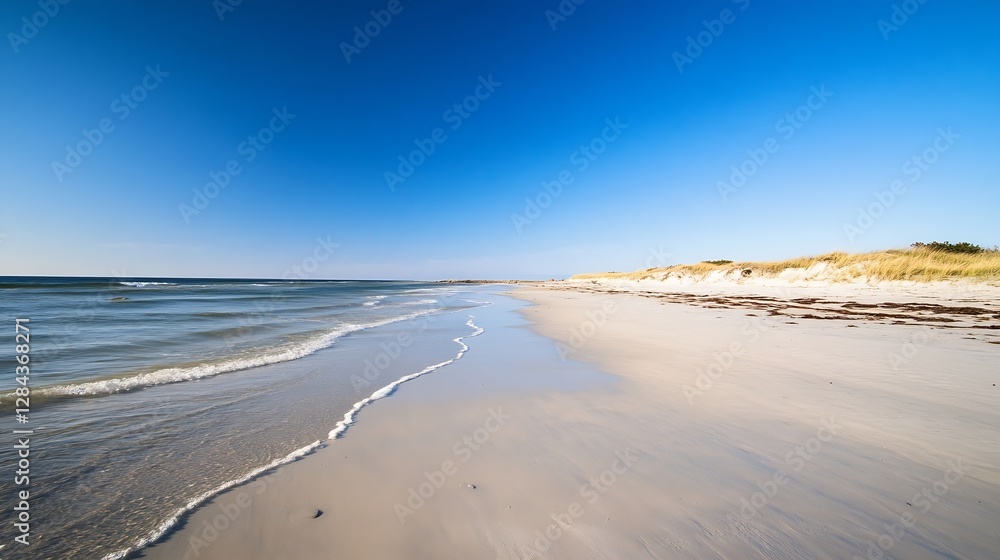 Aufkleber beautiful sandy beach with gentle waves softly lapping against the shore under clear sky : generativ