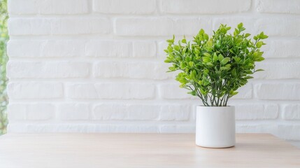 Simple plant on a wooden table against white brick wall. Interior design
