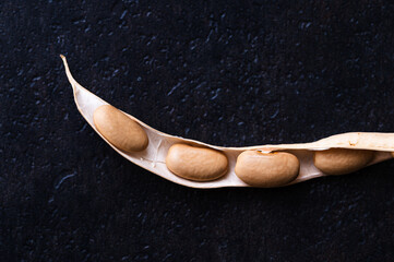 Close up of a dried green bean pod split open to reveal the beans, black background