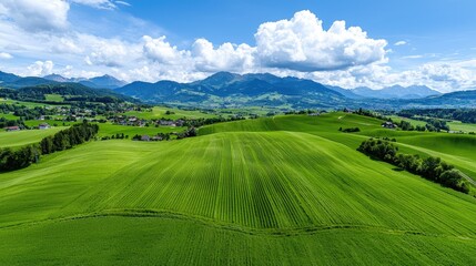 Fototapeta premium Aerial view of green fields and mountains. Scenic landscape. Possible use Stock photo