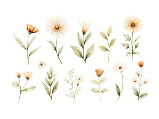 Fototapeta premium A collection of delicate watercolor flowers and leaves