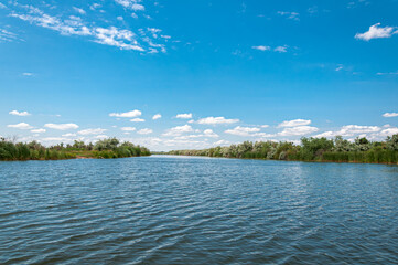 A scenic view of the Danube in Ukraine, surrounded by lush greenery and a clear blue sky. The river flows through the Danube Delta, a unique and biodiverse region rich in wildlife and natural beauty.