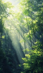 Fototapeta premium Sunlight streams through bamboo forest