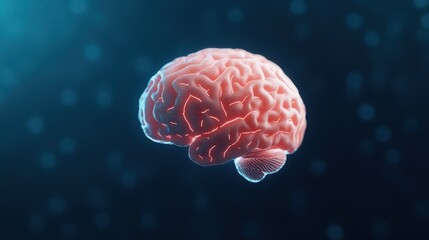 Fototapeta premium A detailed 3D rendering of a human brain is displayed, featuring illuminated contours