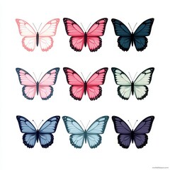 This display features nine distinct butterfly illustrations arranged in a grid. Each butterfly showcases unique colors and designs, highlighting their natural beauty