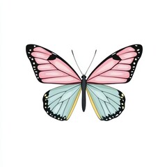 Obraz premium A vibrant butterfly displays large pink and blue wings adorned with black edges. It is positioned centrally against a clean white backdrop, emphasizing its intricate patterns and colors
