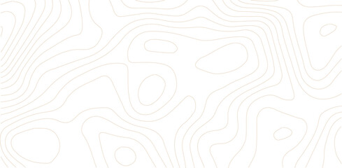 Topography background. Vector banner. Topography map background. Vector geographic contour map. Background of the topographic map. Topographic map lines, contour background. 