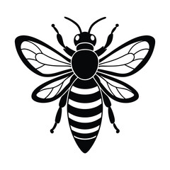 vector illustration of a bee
