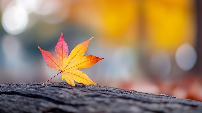 Vibrant autumn leaf with red and orange hues resting gently on a textured wooden surface in soft focused background : Generative AI