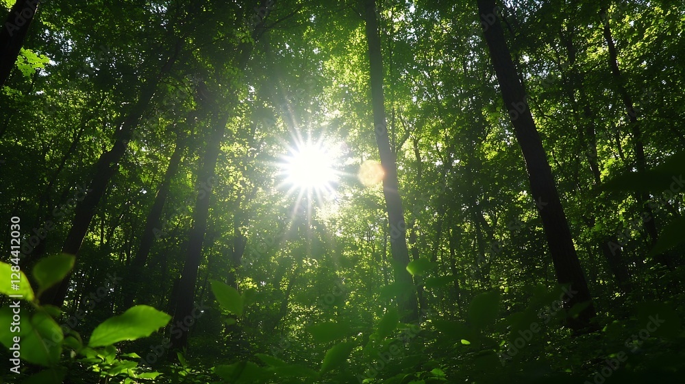 Aufkleber sunlight streaming through a dense forest creating an inspiring natural scene : generative ai