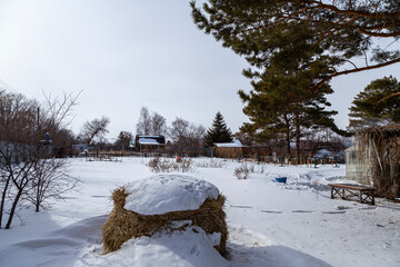 Tied roll of hay in winter under snow close-up against background of iron fence and bare trees