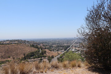 landscape with trees