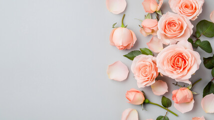 Delicate pink rose flowers arrangement on gray backdrop
