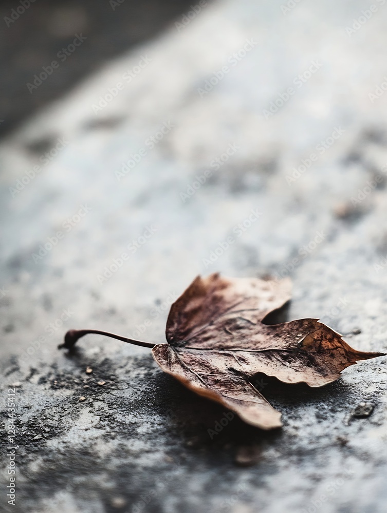 Aufkleber beautifully detailed fallen maple leaf lying on a textured stone surface capturing the essence of au
