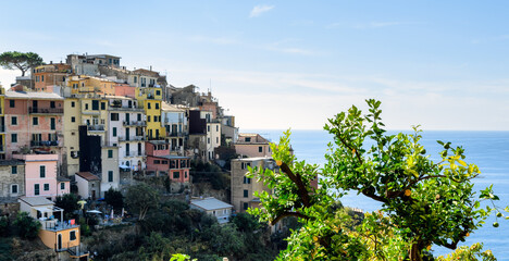 Obraz premium Panoramic view of the village of Corniglia, one of the five ancient villages of Cinque Terre, located on rugged northwest coast of Italian Riviera, Liguria. Well-known tourist location