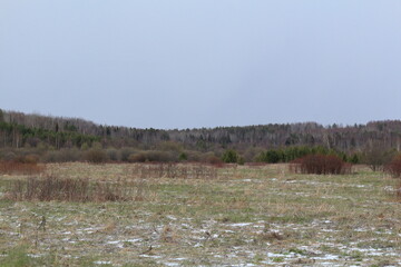 fields and forests of northeastern Europe thawed from snow in early May