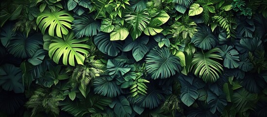 Fototapeta premium A wall of lush, green tropical leaves and plants, photorealistic, with a dark background, in a top-down view.