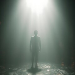 Obraz premium Silhouette in Fog: A Surreal, Atmospheric Image