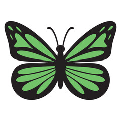 Simple hand drawn single green butterfly vector illustration isolated on white background