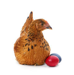 Chicken and easter eggs.