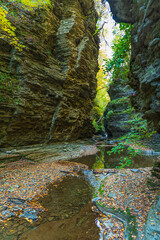 Wasserfälle im Watkins Glen State Park