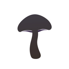 mushroom, food, isolated, fungus, nature