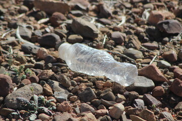 Plastic Bottle Lying on Ground