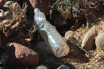 Plastic Bottle Lying on Ground