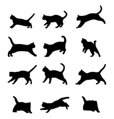 Vector collection set, showing different poses of cat silhouettes isolated on white background.