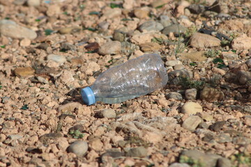 Plastic Bottle Lying on Ground