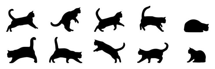 Vector collection set of cat silhouettes in different poses in drawing style, isolated on white background.