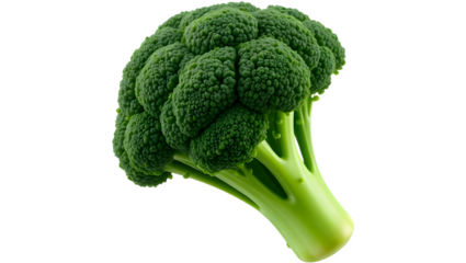 Fresh green broccoli with a dense, textured crown and thick stem, showcasing its vibrant color and healthy appearance.