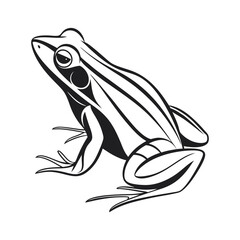 A minimalist frog with white background