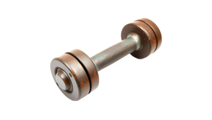 A detailed image of a weightlifting dumbbell showcasing its metallic design and circular plates.