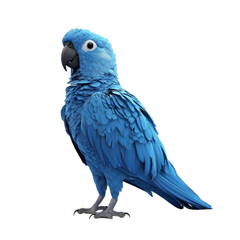 Obraz premium Vibrant Blue Macaw Majestically Posing Against Abstract Background