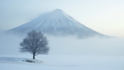 A Solitary Tree Rises From a Vast Expanse of Snow, Framed by a Mist-Covered Mountain in the Background