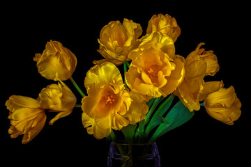 Elegant Yellow Tulips Bouquet on Black Background