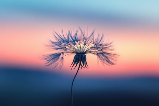Silhouetted dandelion seed head against a vibrant sunset backdrop, nature's delicate beauty. - Powered by Adobe