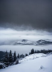 winter landscape with snow
