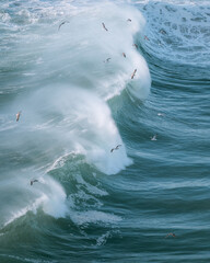 Dreamy waves