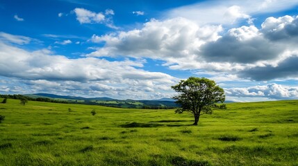 Fototapeta premium Scenic landscape featuring a solitary tree surrounded by lush greenery under a bright blue sky with fluffy clouds : Generative AI