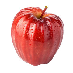 apple fruit