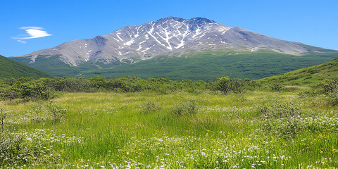 Fototapeta premium Snow-capped mountain rises above lush green meadows dotted with wildflowers under a bright clear blue sky.