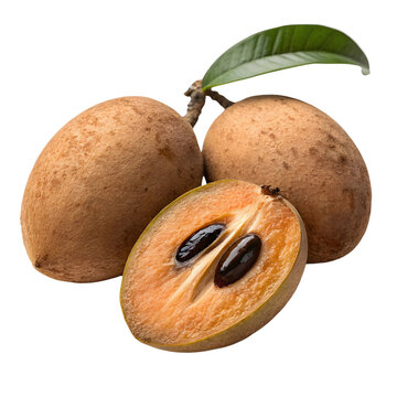 sapodilla fruit