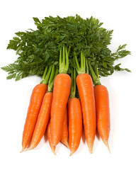 A bunch of fresh vibrant orange carrots with their bright green leafy tops presented against a clean white background.