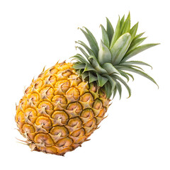 pineapple fruit