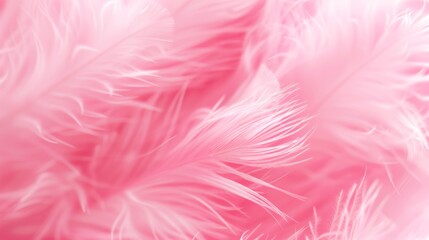 Pink Feathers: A Soft and Delicate Abstract Background