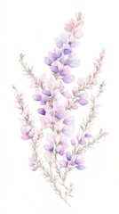 Naklejka premium Delicate watercolor illustration showcasing soft purple and pink Heather flowers swaying gently in the breeze on a tranquil afternoon