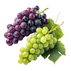 grapes fruit